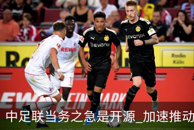 中足联当务之急是开源 加速推动中国足球职业化